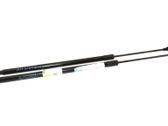 Tailgate/trunk strut/damper