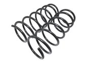 Front coil spring