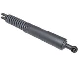Tailgate/trunk strut/damper