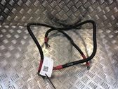 Wires (starter motor)