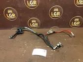 Wires (starter motor)