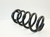 Front coil spring