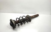 Front shock absorber with coil spring