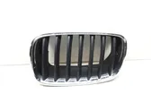 Front bumper upper radiator grill