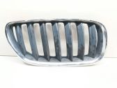 Front bumper upper radiator grill