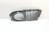 Front fog light trim/grill