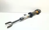 Front shock absorber/damper