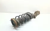 Front shock absorber with coil spring