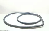 Front door rubber seal