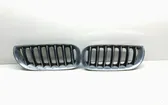 Front bumper upper radiator grill