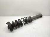 Rear shock absorber with coil spring