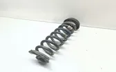 Rear coil spring