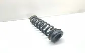 Rear coil spring