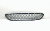 Front bumper lower grill