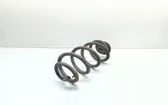 Rear coil spring