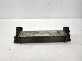 Radiador intercooler