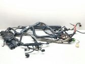 Engine installation wiring loom