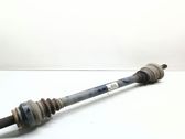 Rear driveshaft