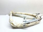 Roof airbag