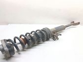 Front shock absorber with coil spring
