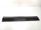 Front door trim (molding)