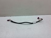 Sound system wiring loom