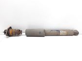 Rear shock absorber/damper