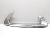 Front fog light trim/grill