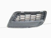 Front bumper lower grill