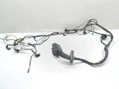Front door wiring loom