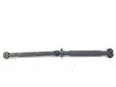 Drive shaft (set)