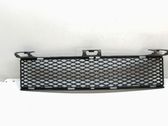 Front bumper lower grill