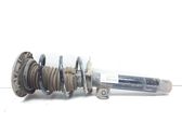Front shock absorber with coil spring
