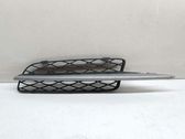 Front fog light trim/grill