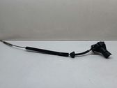 Tailgate release/open handle