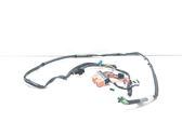 Other wiring loom