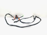 Other wiring loom