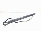 Tailgate/trunk strut/damper