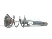 Front shock absorber with coil spring