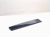 Rear door glass trim molding