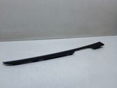 Other rear door trim element