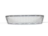 Front bumper lower grill