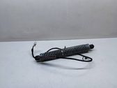 Tailgate/trunk strut/damper