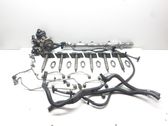 Fuel injection system set