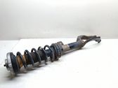 Front shock absorber with coil spring