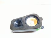 Rear door speaker