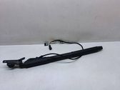 Tailgate/trunk strut/damper