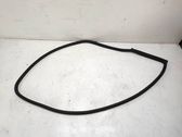 Front door rubber seal