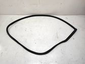 Front door rubber seal