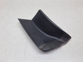 Rear/tail light trim molding